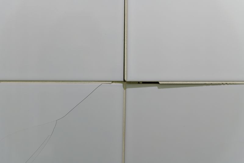 Damaged Tile Repair
