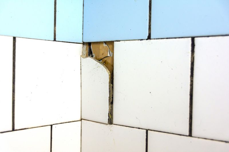 Damaged Tile Repair in Spring